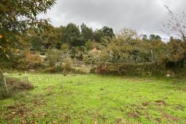5 Hectares of Land For Redevelopment for sale in Sao Pedro do Sul Portugal 5 Hectares of Land For Redevelopment for sale in Sao Pedro do Sul Portugal
