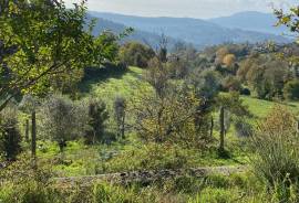 5 Hectares of Land For Redevelopment for sale in Sao Pedro do Sul Portugal 5 Hectares of Land For Redevelopment for sale in Sao Pedro do Sul Portugal