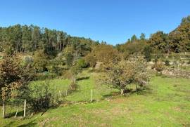 5 Hectares of Land For Redevelopment for sale in Sao Pedro do Sul Portugal 5 Hectares of Land For Redevelopment for sale in Sao Pedro do Sul Portugal