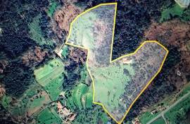 5 Hectares of Land For Redevelopment for sale in Sao Pedro do Sul Portugal 5 Hectares of Land For Redevelopment for sale in Sao Pedro do Sul Portugal