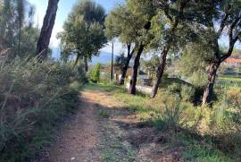 5 Hectares of Land For Redevelopment for sale in Sao Pedro do Sul Portugal 5 Hectares of Land For Redevelopment for sale in Sao Pedro do Sul Portugal