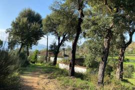 5 Hectares of Land For Redevelopment for sale in Sao Pedro do Sul Portugal 5 Hectares of Land For Redevelopment for sale in Sao Pedro do Sul Portugal
