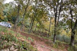 5 Hectares of Land For Redevelopment for sale in Sao Pedro do Sul Portugal 5 Hectares of Land For Redevelopment for sale in Sao Pedro do Sul Portugal