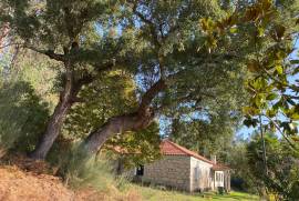 5 Hectares of Land For Redevelopment for sale in Sao Pedro do Sul Portugal 5 Hectares of Land For Redevelopment for sale in Sao Pedro do Sul Portugal