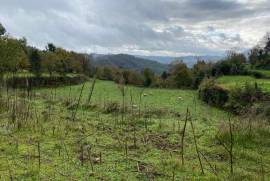 5 Hectares of Land For Redevelopment for sale in Sao Pedro do Sul Portugal 5 Hectares of Land For Redevelopment for sale in Sao Pedro do Sul Portugal