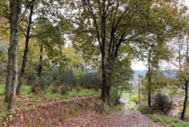 5 Hectares of Land For Redevelopment for sale in Sao Pedro do Sul Portugal 5 Hectares of Land For Redevelopment for sale in Sao Pedro do Sul Portugal