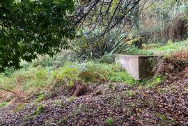 5 Hectares of Land For Redevelopment for sale in Sao Pedro do Sul Portugal 5 Hectares of Land For Redevelopment for sale in Sao Pedro do Sul Portugal