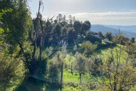 5 Hectares of Land For Redevelopment for sale in Sao Pedro do Sul Portugal 5 Hectares of Land For Redevelopment for sale in Sao Pedro do Sul Portugal