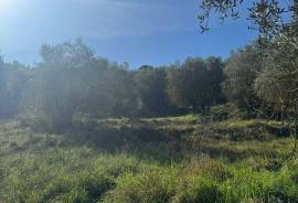 Excellent Plot of land for sale in Sant’Arcangelo Umbria Italy
