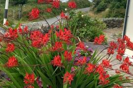 Luxury 4 Bedroom Home For Sale in Castletownbere County Cork