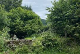 Rustic Farmhouse & Gite For Sale In Viscomtat Auvergne France Rustic Farmhouse & Gite For Sale In Viscomtat Auvergne France