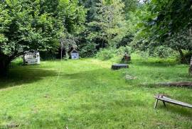 Rustic Farmhouse & Gite For Sale In Viscomtat Auvergne France Rustic Farmhouse & Gite For Sale In Viscomtat Auvergne France