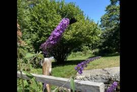 Rustic Farmhouse & Gite For Sale In Viscomtat Auvergne France Rustic Farmhouse & Gite For Sale In Viscomtat Auvergne France