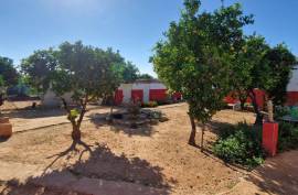 Stunning 4 Bed Finca For Sale In Oliva Valencia