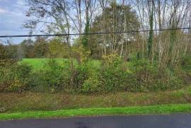 For Sale 2 Houses near Bussiere-Poitevine - Haute Vienne