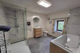 For Sale 2 Houses near Bussiere-Poitevine - Haute Vienne