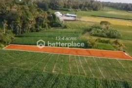 Prime 1340 sqm Land in Beraban, Tabanan, Ideal for Investment