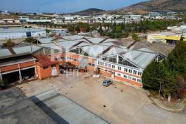 industrial Site 7500 sq.m for sale industrial Site 7500 sq.m for sale