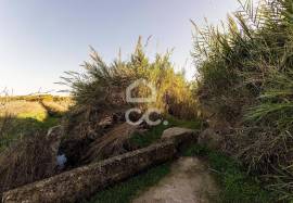Farmhouse Évora Canaviais Farmhouse Évora Canaviais