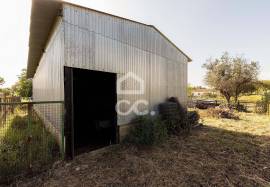 Farmhouse Évora Azaruja