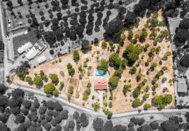 Farmhouse Montemor-o-Novo Lavre Farmhouse Montemor-o-Novo Lavre