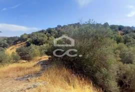 Farmhouse Serpa Farmhouse Serpa