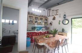 Farm with Fruit Trees with 6,233.00 m2 - Povoação Farm with Fruit Trees with 6,233.00 m2 - Povoação