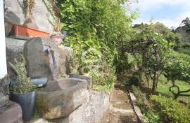 Farm with Fruit Trees with 6,233.00 m2 - Povoação Farm with Fruit Trees with 6,233.00 m2 - Povoação