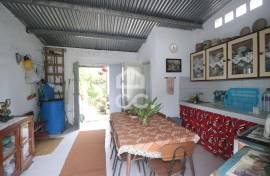 Farm with Fruit Trees with 6,233.00 m2 - Povoação Farm with Fruit Trees with 6,233.00 m2 - Povoação