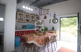 Farm with Fruit Trees with 6,233.00 m2 - Povoação Farm with Fruit Trees with 6,233.00 m2 - Povoação