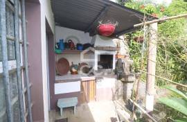 Farm with Fruit Trees with 6,233.00 m2 - Povoação Farm with Fruit Trees with 6,233.00 m2 - Povoação