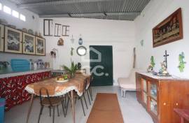 Farm with Fruit Trees with 6,233.00 m2 - Povoação Farm with Fruit Trees with 6,233.00 m2 - Povoação