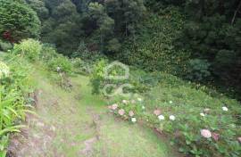 Farm with Fruit Trees with 6,233.00 m2 - Povoação Farm with Fruit Trees with 6,233.00 m2 - Povoação