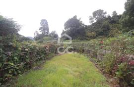 Farm with Fruit Trees with 6,233.00 m2 - Povoação Farm with Fruit Trees with 6,233.00 m2 - Povoação
