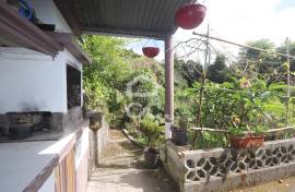 Farm with Fruit Trees with 6,233.00 m2 - Povoação