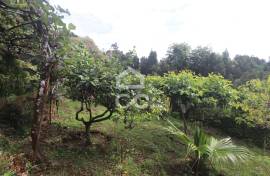 Farm with Fruit Trees with 6,233.00 m2 - Povoação Farm with Fruit Trees with 6,233.00 m2 - Povoação