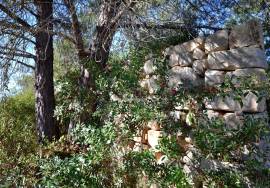 Plot with Ruin with Open Views Across the Countryside and Out to Ocean. Plot with Ruin with Open Views Across the Countryside and Out to Ocean.