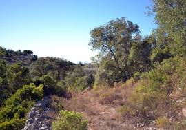 Plot with Ruin with Open Views Across the Countryside and Out to Ocean. Plot with Ruin with Open Views Across the Countryside and Out to Ocean.