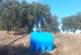 Rustic land with approximately 70,000 m2 (7 hectares) for sale in Barbacena- Elvas- Alentejo- Portugal Rustic land with approximately 70,000 m2 (7 hectares) for sale in Barbacena- Elvas- Alentejo- Portugal