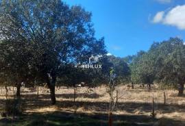 Rustic land with approximately 70,000 m2 (7 hectares) for sale in Barbacena- Elvas- Alentejo- Portugal Rustic land with approximately 70,000 m2 (7 hectares) for sale in Barbacena- Elvas- Alentejo- Portugal