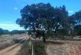 Rustic land with approximately 70,000 m2 (7 hectares) for sale in Barbacena- Elvas- Alentejo- Portugal Rustic land with approximately 70,000 m2 (7 hectares) for sale in Barbacena- Elvas- Alentejo- Portugal