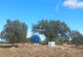 Rustic land with approximately 70,000 m2 (7 hectares) for sale in Barbacena- Elvas- Alentejo- Portugal Rustic land with approximately 70,000 m2 (7 hectares) for sale in Barbacena- Elvas- Alentejo- Portugal