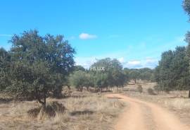 Rustic land with approximately 70,000 m2 (7 hectares) for sale in Barbacena- Elvas- Alentejo- Portugal Rustic land with approximately 70,000 m2 (7 hectares) for sale in Barbacena- Elvas- Alentejo- Portugal