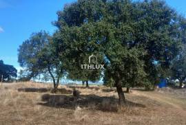 Rustic land with approximately 70,000 m2 (7 hectares) for sale in Barbacena- Elvas- Alentejo- Portugal Rustic land with approximately 70,000 m2 (7 hectares) for sale in Barbacena- Elvas- Alentejo- Portugal