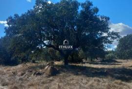 Rustic land with approximately 70,000 m2 (7 hectares) for sale in Barbacena- Elvas- Alentejo- Portugal Rustic land with approximately 70,000 m2 (7 hectares) for sale in Barbacena- Elvas- Alentejo- Portugal