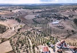 Alentejo Refuge in Mina do Bugalho – Typical House with 4 Bedrooms, Ideal for Weekends and Investment Alentejo Refuge in Mina do Bugalho – Typical House with 4 Bedrooms, Ideal for Weekends and Investment