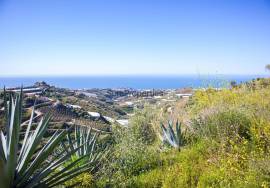 Rustic finca of 29.800 m² in Sayalonga, with stunning views and a house to reform. Ideal for rural project, agriculture or charming house in the middle of nature.