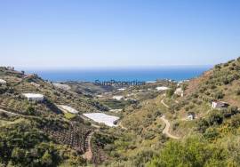 Rustic finca of 29.800 m² in Sayalonga, with stunning views and a house to reform. Ideal for rural project, agriculture or charming house in the middle of nature.