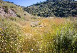 Rustic finca of 29.800 m² in Sayalonga, with stunning views and a house to reform. Ideal for rural project, agriculture or charming house in the middle of nature.