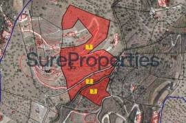 Rustic finca of 29.800 m² in Sayalonga, with stunning views and a house to reform. Ideal for rural project, agriculture or charming house in the middle of nature.